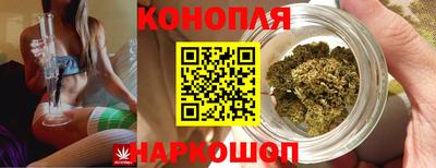 ГАЛЛЮЦИНОГЕННЫЕ ГРИБЫ Гусев