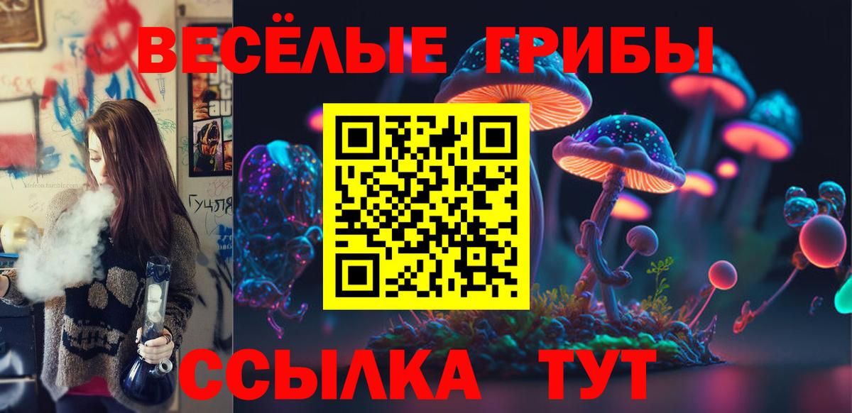 Галлюциногенные грибы Psilocybine cubensis  Вход с VPN  Галлюциногенные грибы Magic Shrooms  Нижний Новгород 
