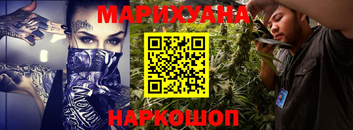 Бошки марихуана сатива Нижний Новгород